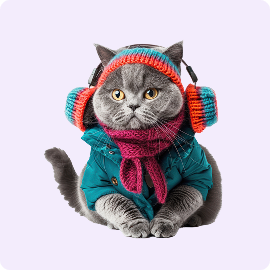 Accesorios