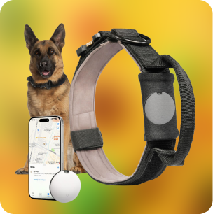 Collar GPS